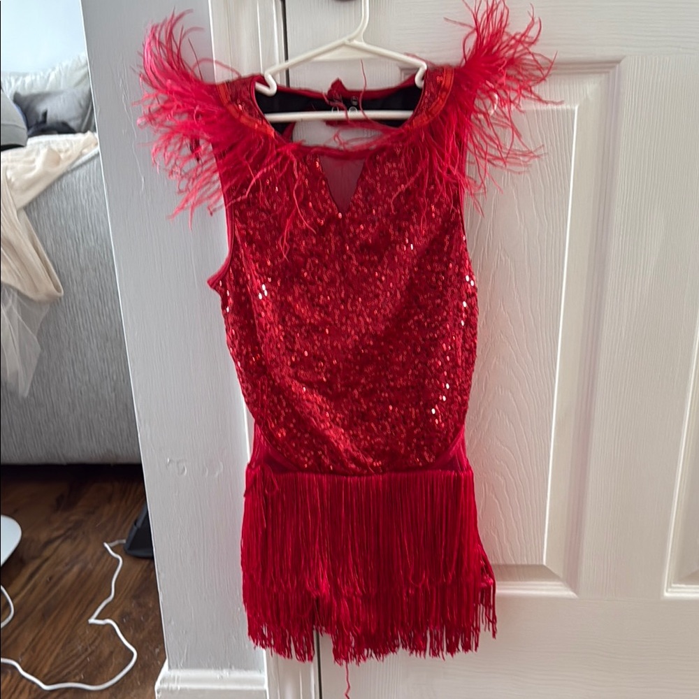 Red Sequin Fringe Dress with Feather Details